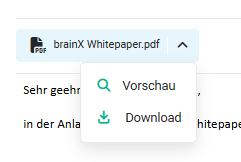 email_postfaecher_lesebereich_email_mit_dateianhang_aktionen.png