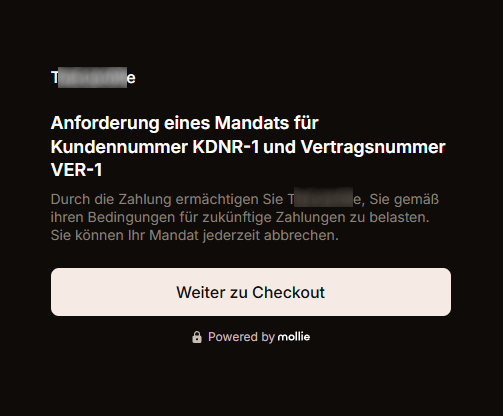 mollie_anforderung_mandat_1.png