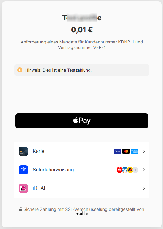 mollie_anforderung_mandat_2.png